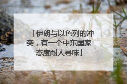 伊朗与以色列的冲突，有一个中东国家态度耐人寻味