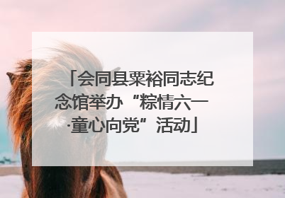 会同县粟裕同志纪念馆举办“粽情六一·童心向党”活动