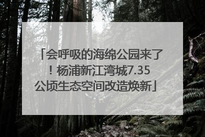会呼吸的海绵公园来了！杨浦新江湾城7.35公顷生态空间改造焕新
