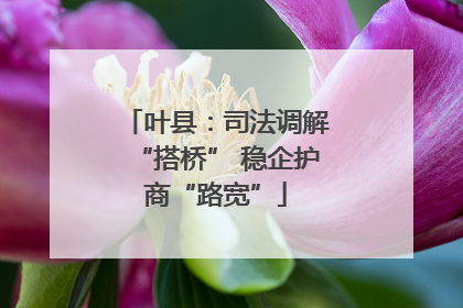 叶县：司法调解“搭桥” 稳企护商“路宽”