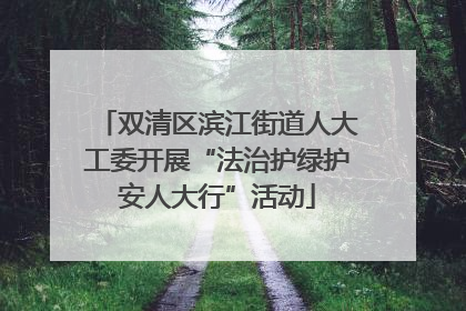 双清区滨江街道人大工委开展“法治护绿护安人大行”活动