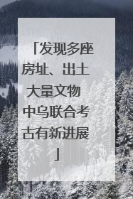 发现多座房址、出土大量文物 中乌联合考古有新进展