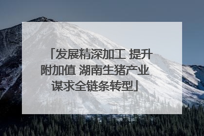 发展精深加工 提升附加值 湖南生猪产业谋求全链条转型
