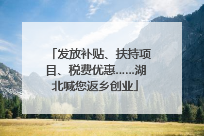 发放补贴、扶持项目、税费优惠……湖北喊您返乡创业