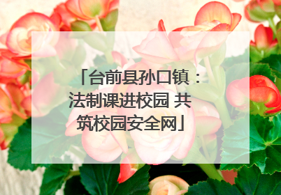 台前县孙口镇：法制课进校园 共筑校园安全网