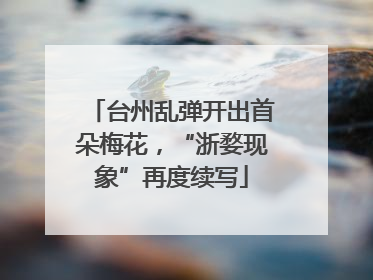 台州乱弹开出首朵梅花，“浙婺现象”再度续写
