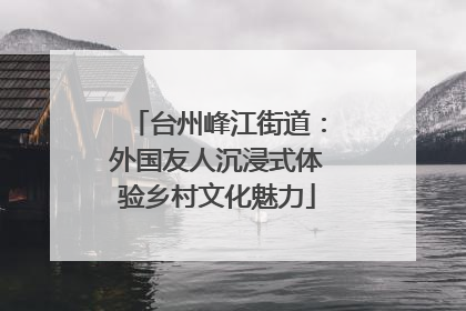 台州峰江街道：外国友人沉浸式体验乡村文化魅力