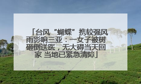 台风“蝴蝶”携较强风雨影响三亚：一女子被树砸倒送医，无大碍当天回家 当地已紧急清障