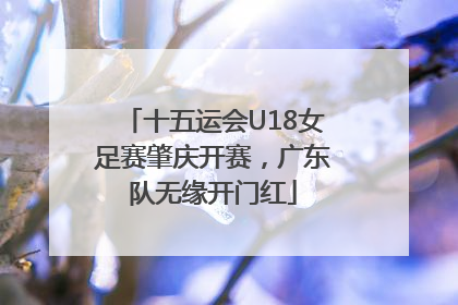 十五运会U18女足赛肇庆开赛，广东队无缘开门红
