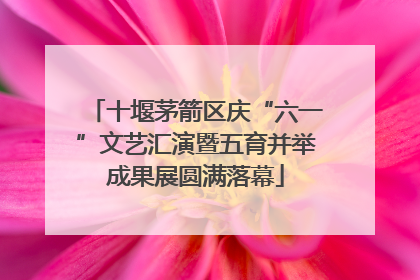 十堰茅箭区庆“六一”文艺汇演暨五育并举成果展圆满落幕