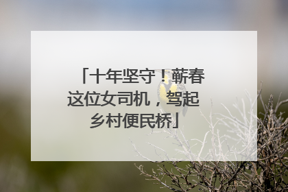 十年坚守！蕲春这位女司机，驾起乡村便民桥