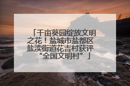 千亩葵园绽放文明之花！盐城市盐都区盐渎街道花吉村获评“全国文明村”