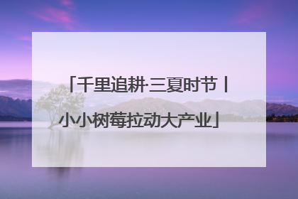 千里追耕·三夏时节丨小小树莓拉动大产业