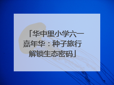 华中里小学六一嘉年华：种子旅行解锁生态密码