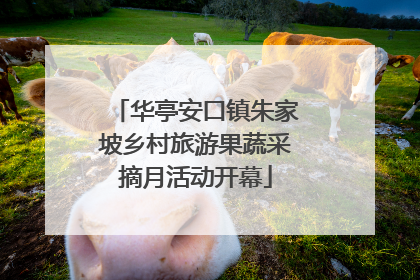 华亭安口镇朱家坡乡村旅游果蔬采摘月活动开幕