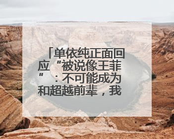 单依纯正面回应“被说像王菲”：不可能成为和超越前辈，我想致敬他们