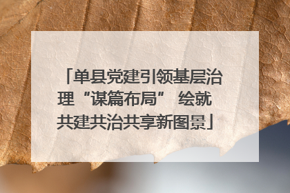 单县党建引领基层治理“谋篇布局” 绘就共建共治共享新图景
