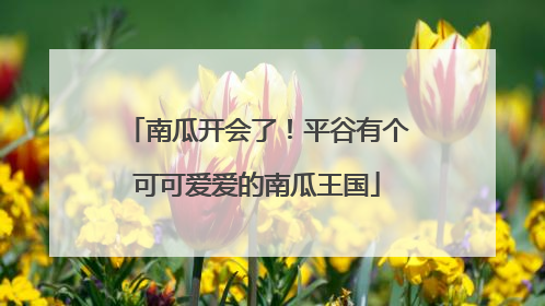 南瓜开会了！平谷有个可可爱爱的南瓜王国