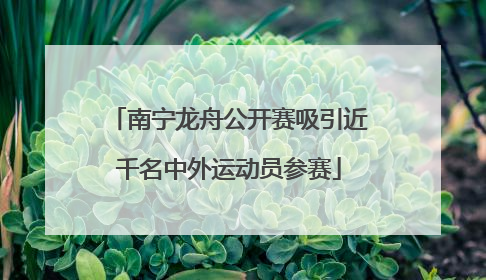 南宁龙舟公开赛吸引近千名中外运动员参赛