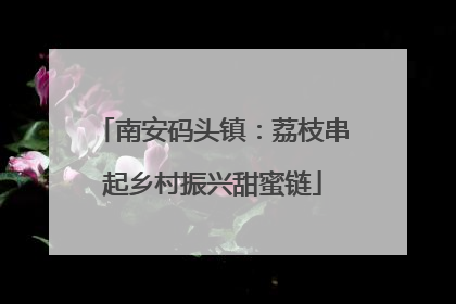 南安码头镇：荔枝串起乡村振兴甜蜜链