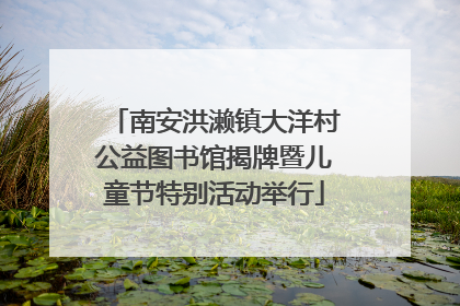 南安洪濑镇大洋村公益图书馆揭牌暨儿童节特别活动举行