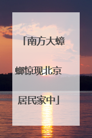 南方大蟑螂惊现北京居民家中
