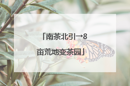 南茶北引→8亩荒地变茶园