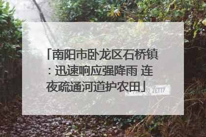 南阳市卧龙区石桥镇：迅速响应强降雨 连夜疏通河道护农田