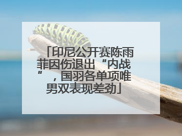 印尼公开赛陈雨菲因伤退出“内战”，国羽各单项唯男双表现差劲