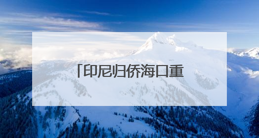 印尼归侨海口重温琼崖红色记忆