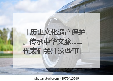 历史文化遗产保护、传承中华文脉……代表们关注这些事