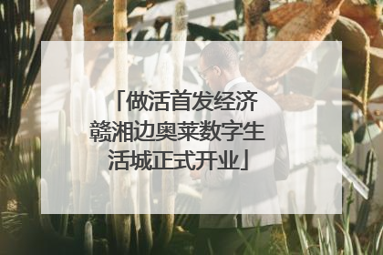 做活首发经济 赣湘边奥莱数字生活城正式开业