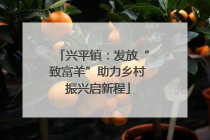 兴平镇：发放“致富羊”助力乡村振兴启新程