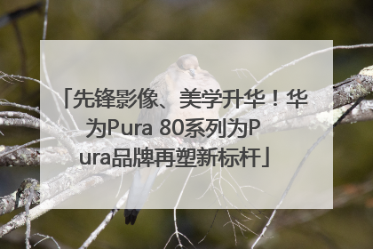 先锋影像、美学升华！华为Pura 80系列为Pura品牌再塑新标杆