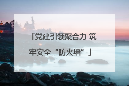 党建引领聚合力 筑牢安全“防火墙”