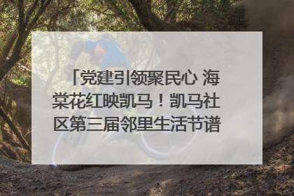 党建引领聚民心 海棠花红映凯马！凯马社区第三届邻里生活节谱写幸福新篇章