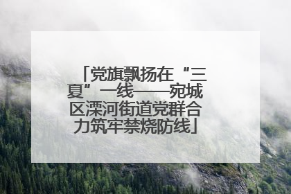 党旗飘扬在“三夏”一线——宛城区溧河街道党群合力筑牢禁烧防线