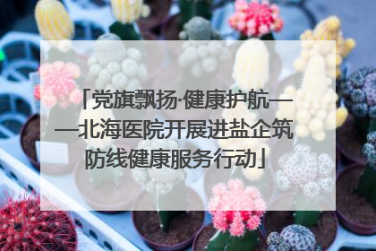 党旗飘扬·健康护航——北海医院开展进盐企筑防线健康服务行动
