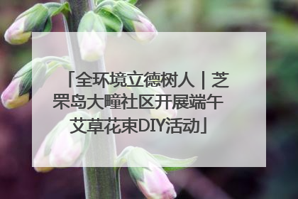 全环境立德树人｜芝罘岛大疃社区开展端午艾草花束DIY活动