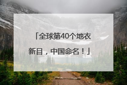 全球第40个地衣新目，中国命名！