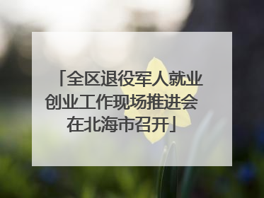 全区退役军人就业创业工作现场推进会在北海市召开