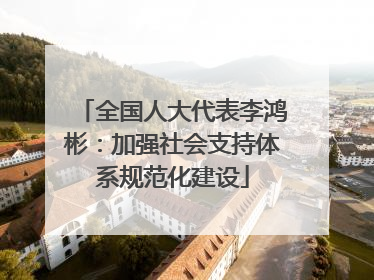 全国人大代表李鸿彬：加强社会支持体系规范化建设