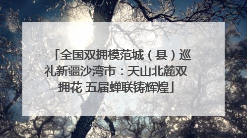 全国双拥模范城（县）巡礼新疆沙湾市：天山北麓双拥花 五届蝉联铸辉煌