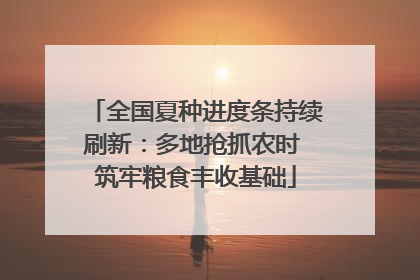 全国夏种进度条持续刷新：多地抢抓农时 筑牢粮食丰收基础