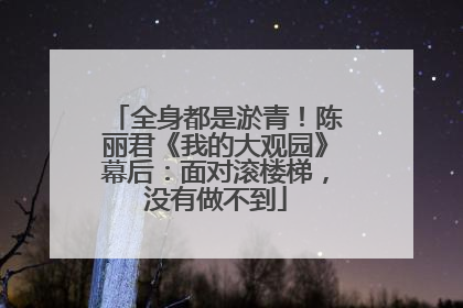 全身都是淤青！陈丽君《我的大观园》幕后：面对滚楼梯，没有做不到