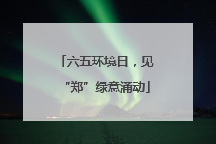 六五环境日，见“郑”绿意涌动