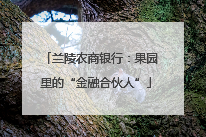 兰陵农商银行：果园里的“金融合伙人”