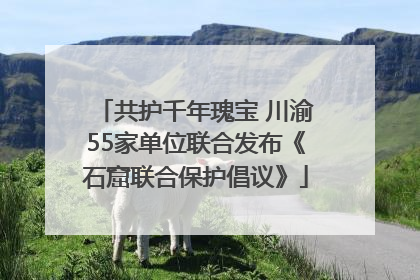 共护千年瑰宝 川渝55家单位联合发布《石窟联合保护倡议》