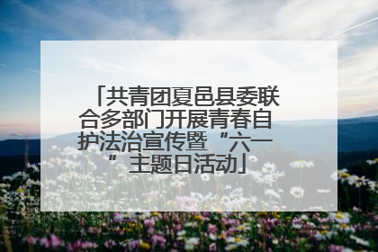 共青团夏邑县委联合多部门开展青春自护法治宣传暨“六一”主题日活动