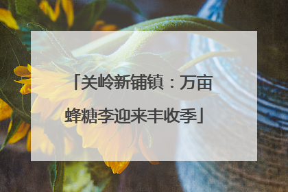 关岭新铺镇：万亩蜂糖李迎来丰收季